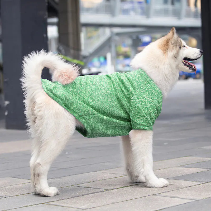 Cozy Wool Sweater for Dogs