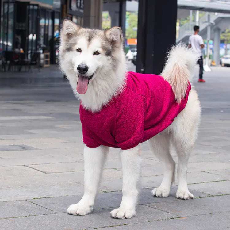 Cozy Wool Sweater for Dogs