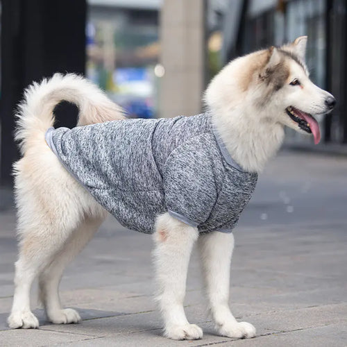 Cozy Wool Sweater for Dogs