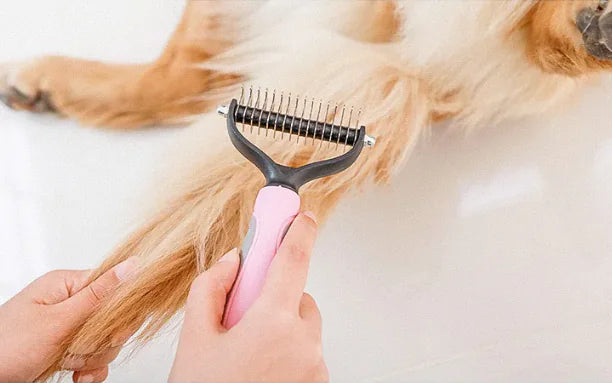 Dogs Comb